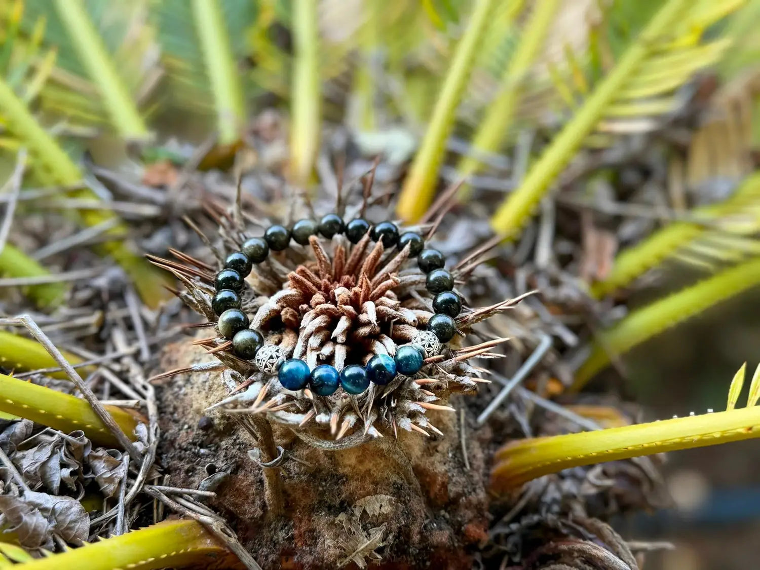 Perlenarmband aus dunklen Edelsteinen auf dem Stamm einer Palme, Naturaufnahme im Freien.